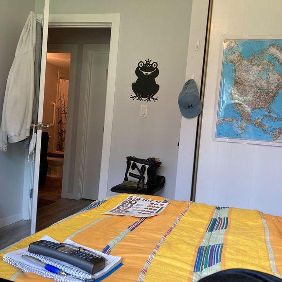 Meet your Posher, Tommy - Picture 1 of 1